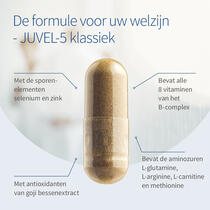 JUVEL-5 classic voorbeeldafbeelding 3