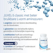 JUVEL-5 classic voorbeeldafbeelding 4