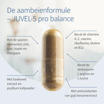 JUVEL-5 pro balance voorbeeldafbeelding 3