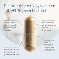 JUVEL-5 gewricht direct voorbeeldafbeelding 3