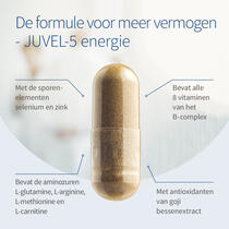 JUVEL-5 energie voorbeeldafbeelding 3