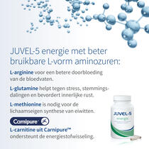 JUVEL-5 energie voorbeeldafbeelding 4