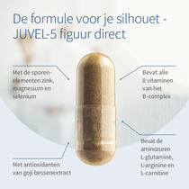 JUVEL-5 figuur direct voorbeeldafbeelding 3